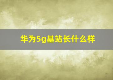 华为5g基站长什么样