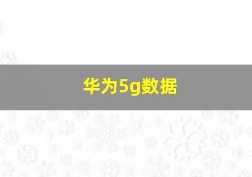 华为5g数据