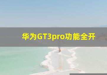 华为GT3pro功能全开