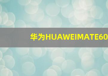 华为HUAWEIMATE60