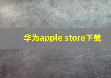 华为apple store下载