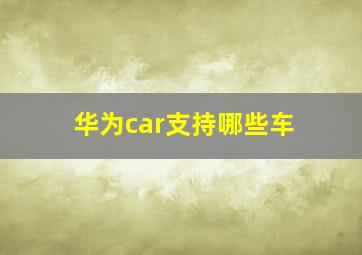 华为car支持哪些车