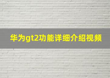 华为gt2功能详细介绍视频