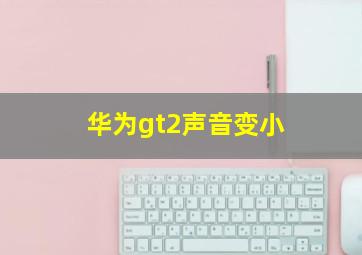 华为gt2声音变小