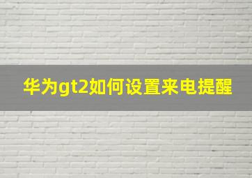 华为gt2如何设置来电提醒