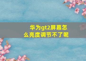 华为gt2屏幕怎么亮度调节不了呢