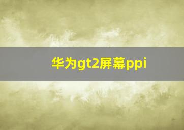 华为gt2屏幕ppi