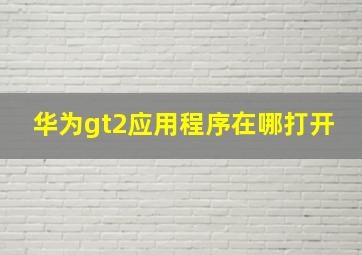 华为gt2应用程序在哪打开