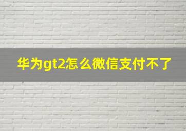 华为gt2怎么微信支付不了