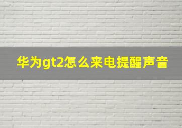 华为gt2怎么来电提醒声音