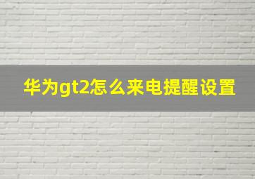 华为gt2怎么来电提醒设置