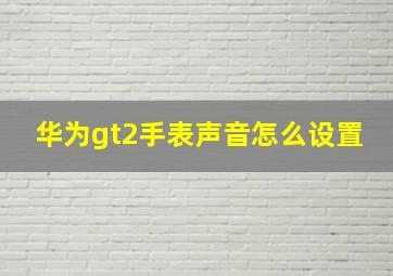 华为gt2手表声音怎么设置