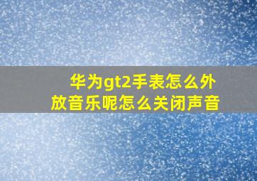 华为gt2手表怎么外放音乐呢怎么关闭声音