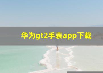 华为gt2手表app下载