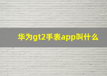 华为gt2手表app叫什么