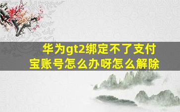 华为gt2绑定不了支付宝账号怎么办呀怎么解除