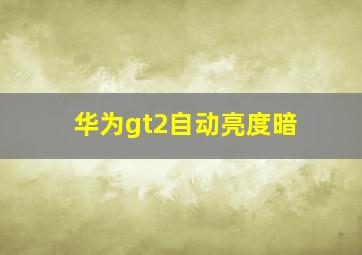 华为gt2自动亮度暗