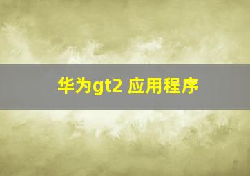 华为gt2 应用程序