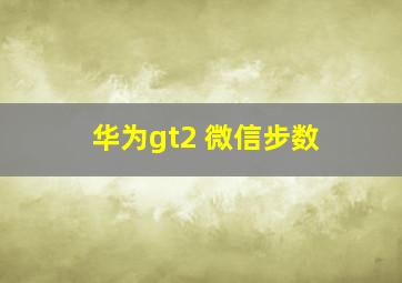 华为gt2 微信步数