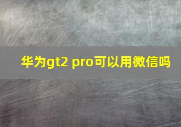 华为gt2 pro可以用微信吗