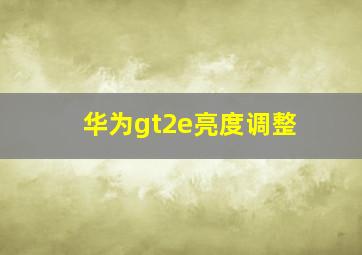 华为gt2e亮度调整