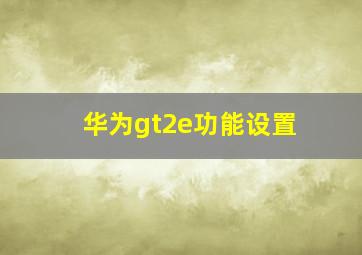 华为gt2e功能设置