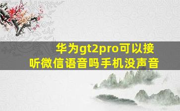 华为gt2pro可以接听微信语音吗手机没声音