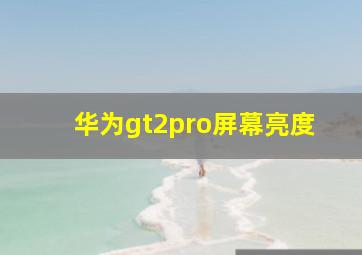 华为gt2pro屏幕亮度