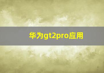 华为gt2pro应用