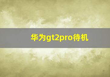 华为gt2pro待机