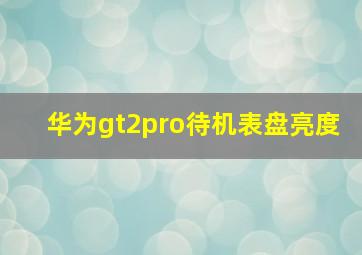 华为gt2pro待机表盘亮度