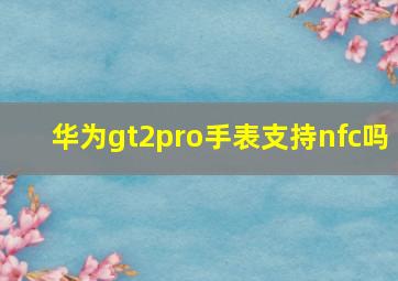 华为gt2pro手表支持nfc吗