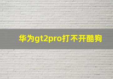 华为gt2pro打不开酷狗