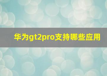 华为gt2pro支持哪些应用