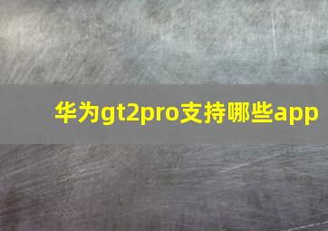 华为gt2pro支持哪些app