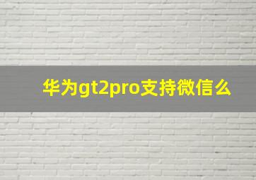 华为gt2pro支持微信么