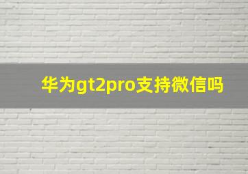 华为gt2pro支持微信吗