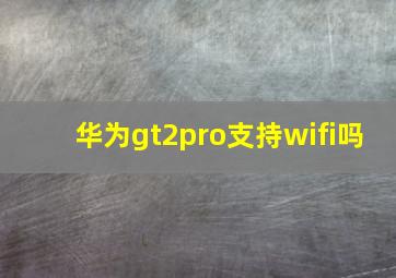 华为gt2pro支持wifi吗