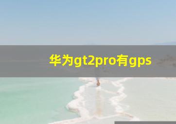 华为gt2pro有gps