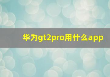 华为gt2pro用什么app