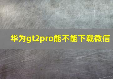 华为gt2pro能不能下载微信