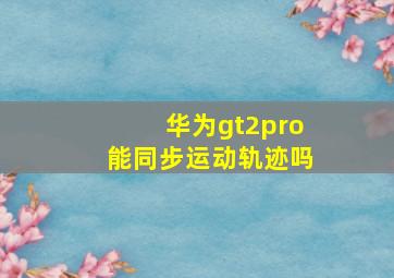 华为gt2pro能同步运动轨迹吗