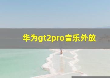 华为gt2pro音乐外放