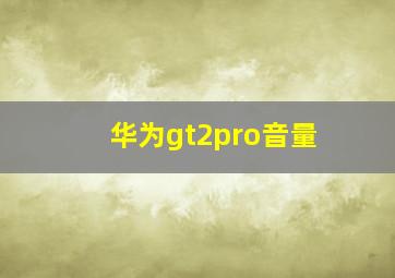 华为gt2pro音量