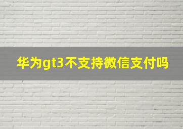 华为gt3不支持微信支付吗