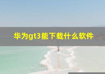 华为gt3能下载什么软件