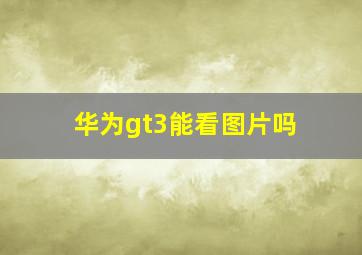 华为gt3能看图片吗