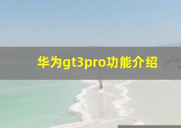 华为gt3pro功能介绍