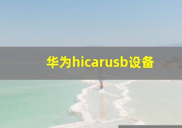 华为hicarusb设备