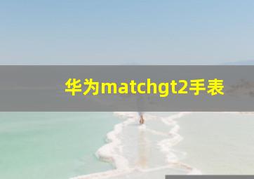 华为matchgt2手表